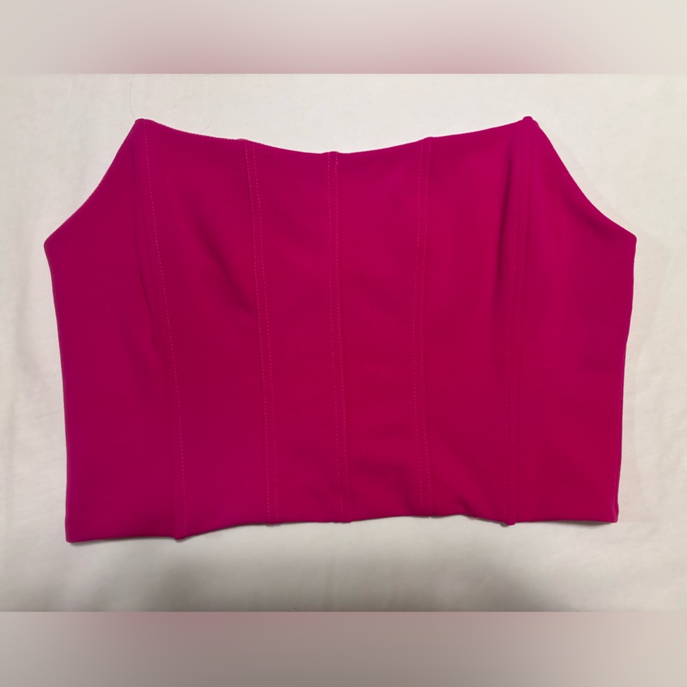Nasty Gal NWT, pink, back zip corset top, L
